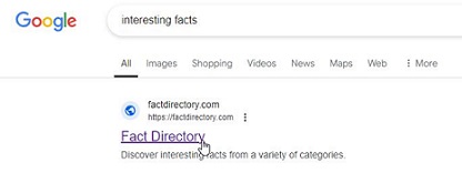 Google Search Ranking and results of FactDirectory.com