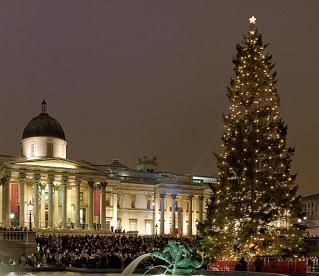 Trafalgar Square Christmas Tree 2006