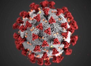 Covid 19 Virus picture